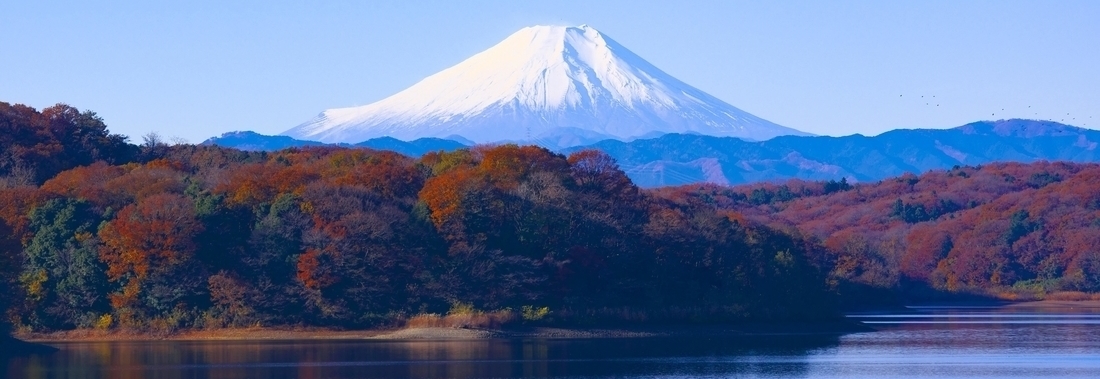 Mt Fuji with autumn leaves Japan